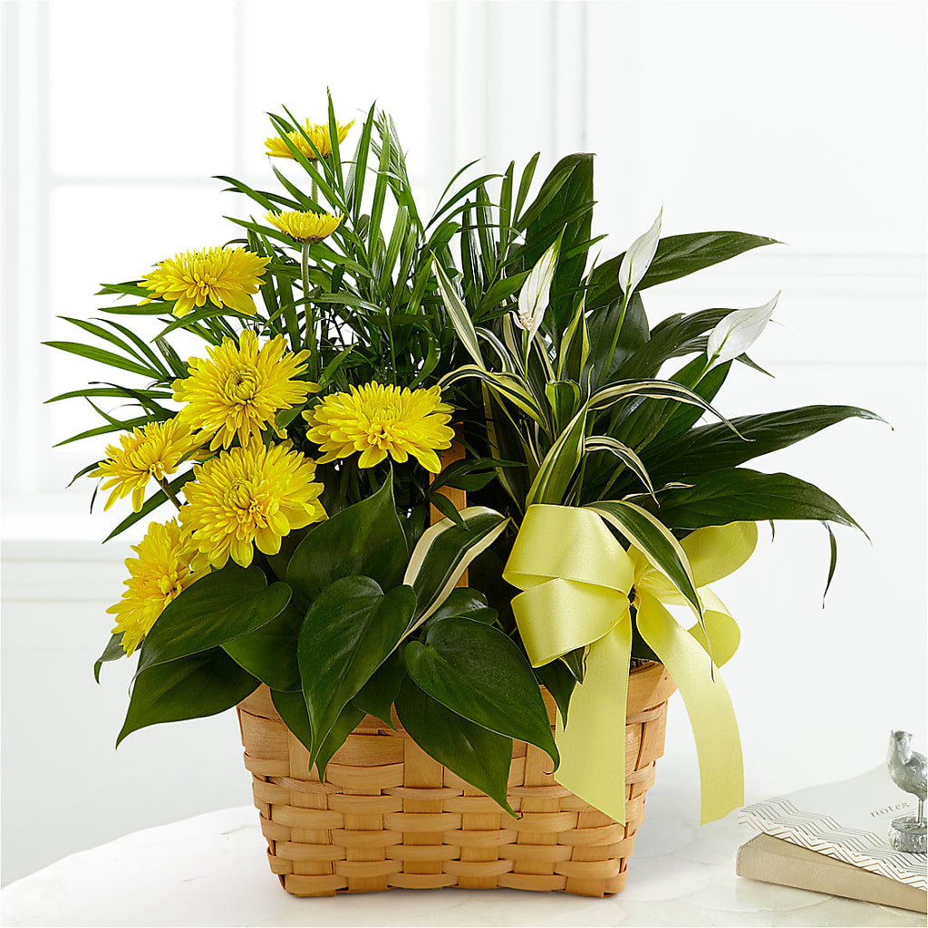 Loving Light Dishgarden – Sweet Flowers, High Point NC