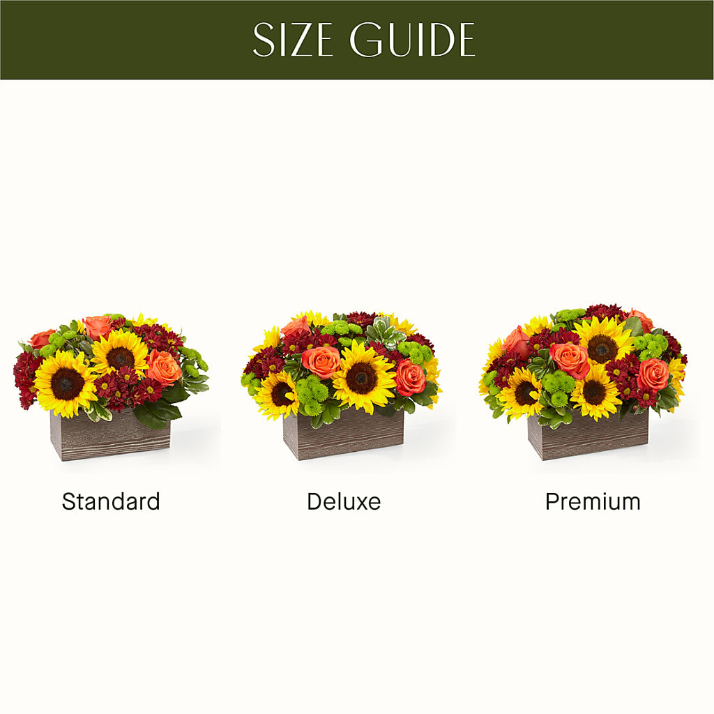 Happy Harvest Garden – Sweet Flowers, High Point NC