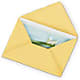 Greeting Card – Sweet Flowers, High Point NC