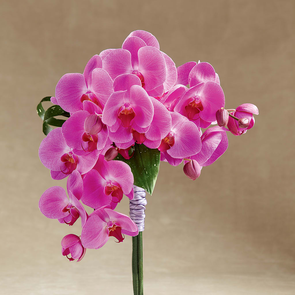 Glorious Bouquet – Sweet Flowers, High Point NC