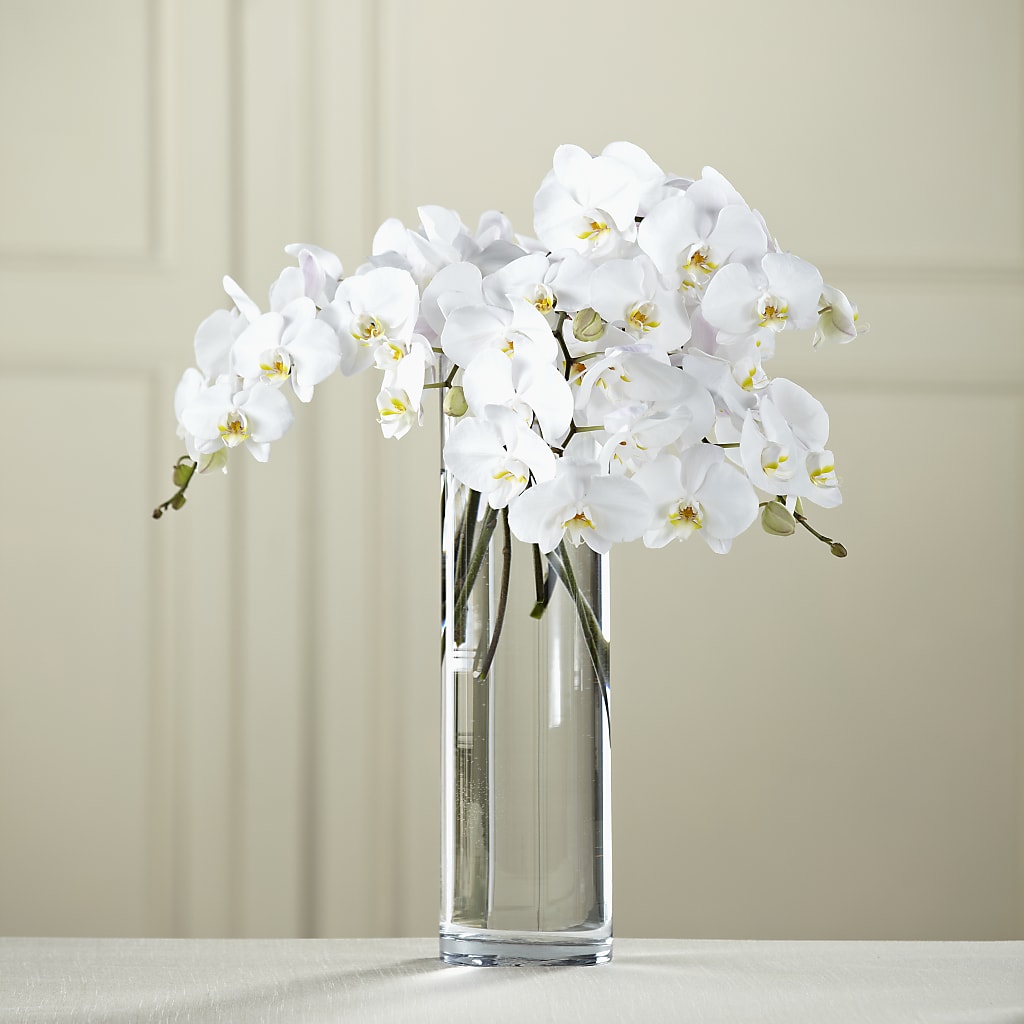 White Phalaenopsis Bouquet – Sweet Flowers, High Point NC