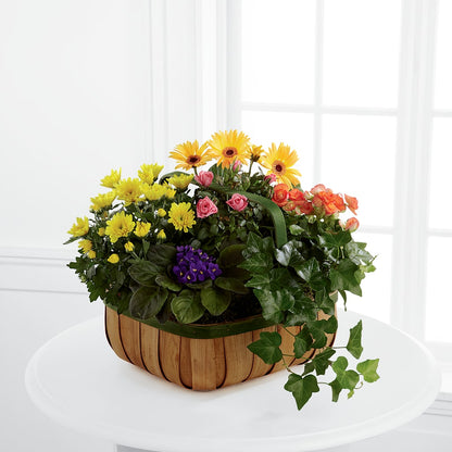 Gentle Blossoms Basket –  Sweet Flowers, High Point NC