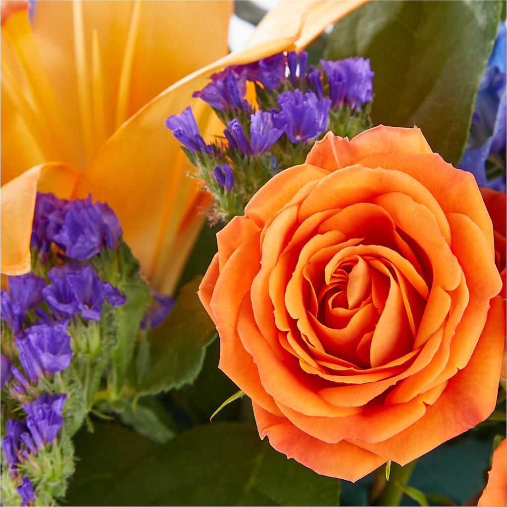 Radiant Citrus Box Bouquet –  Sweet Flowers, High Point NC