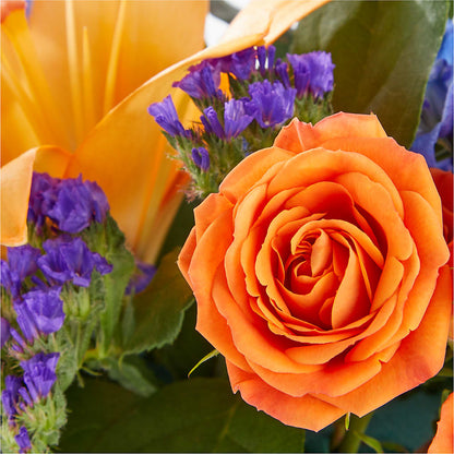 Radiant Citrus Box Bouquet –  Sweet Flowers, High Point NC
