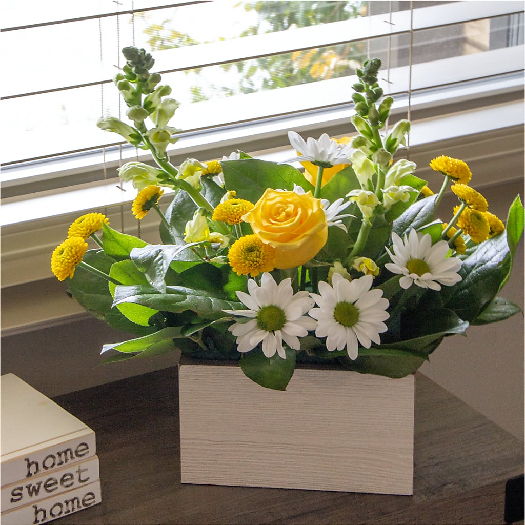Sun Salutation Box Bouquet –  Sweet Flowers, High Point NC
