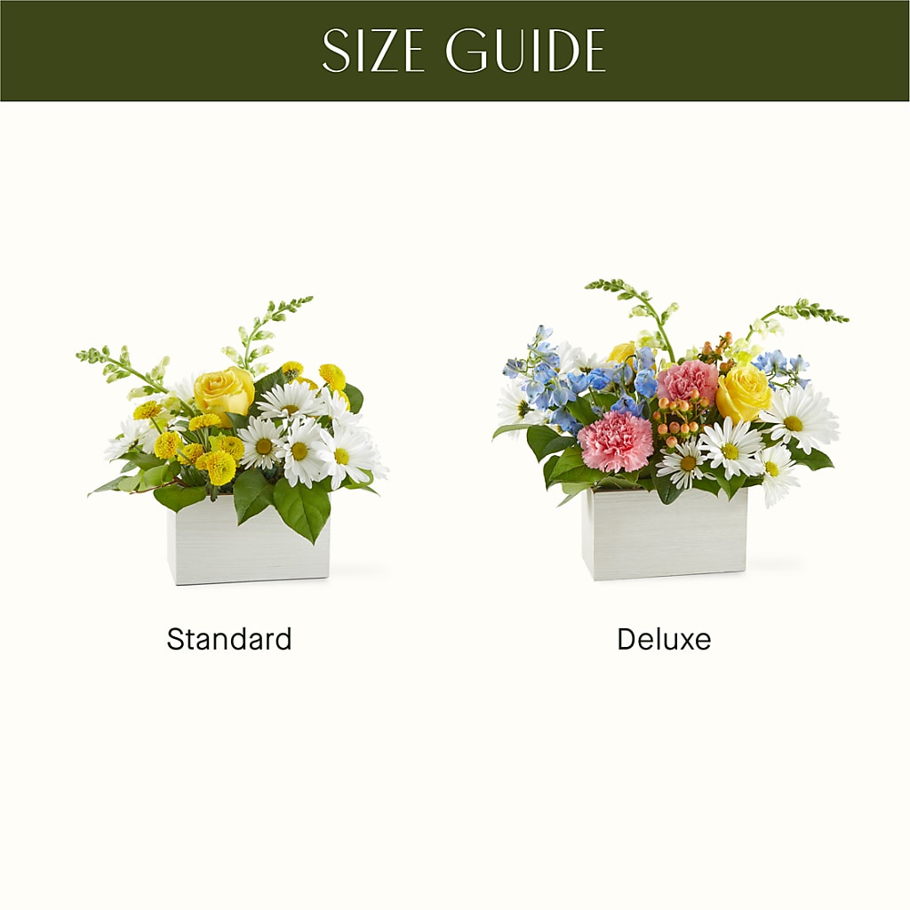 Sun Salutation Box Bouquet –  Sweet Flowers, High Point NC