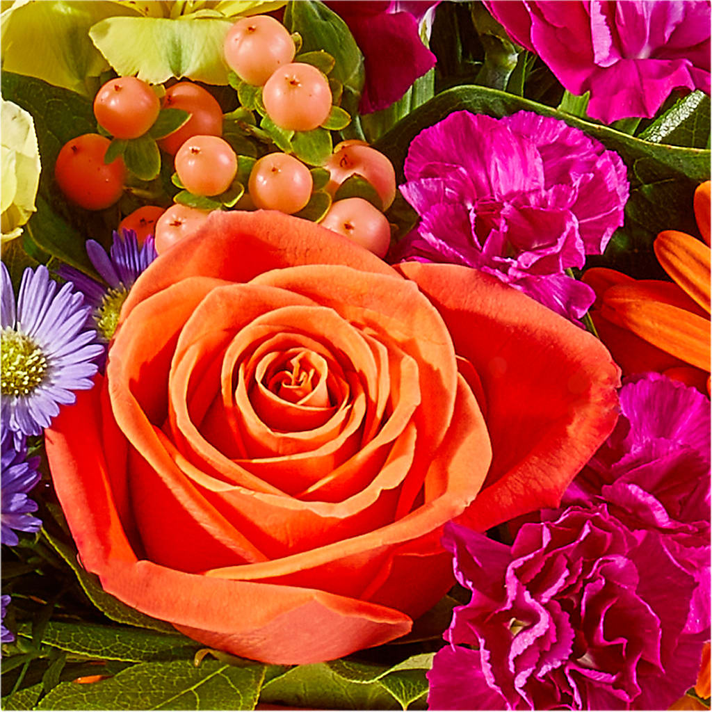 Tricks & Treats Pumpkin –  Sweet Flowers, High Point NC