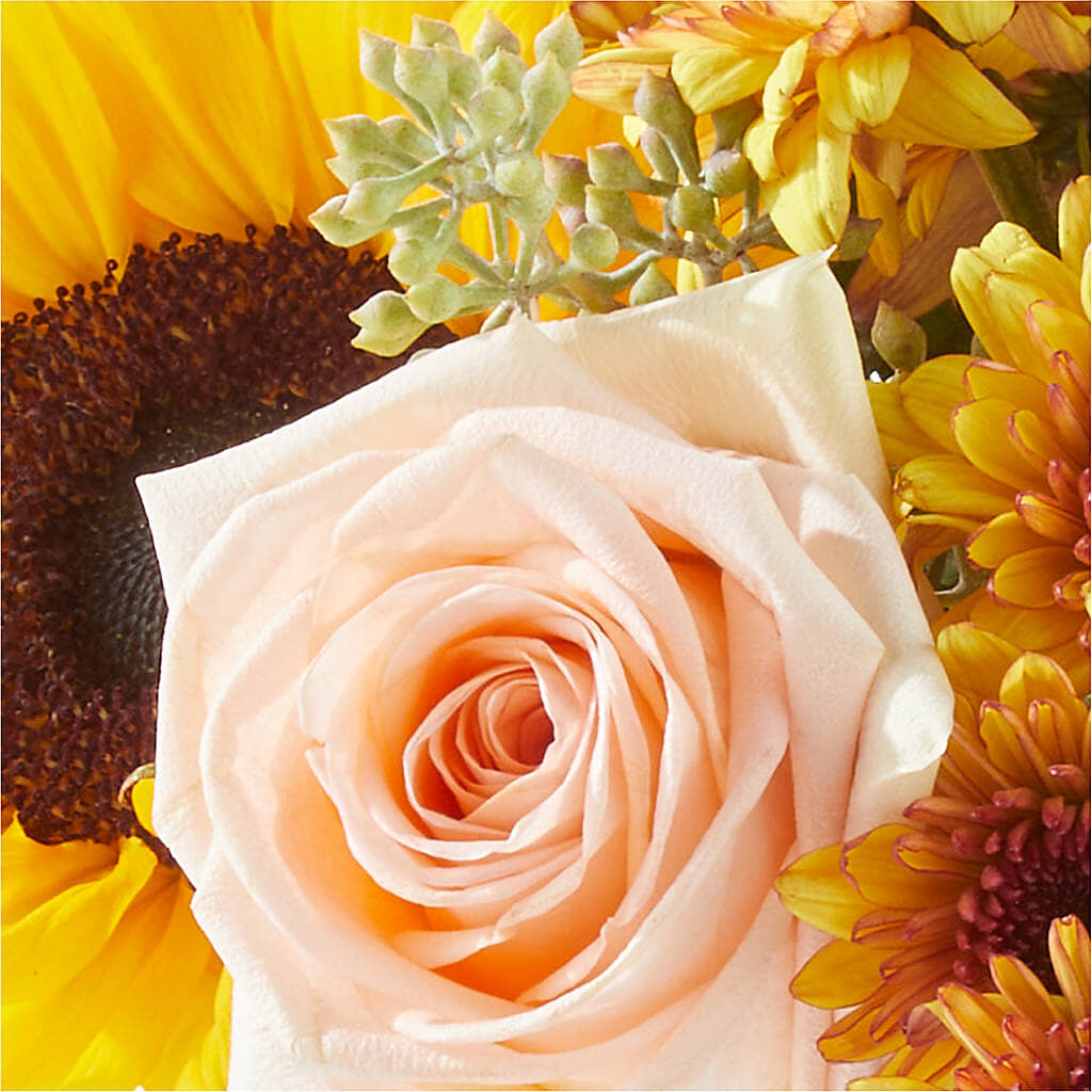 Pumpkin to Talk About Bouquet –  Sweet Flowers, High Point NC