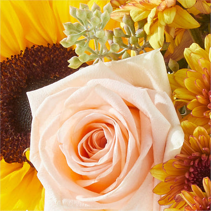 Pumpkin to Talk About Bouquet –  Sweet Flowers, High Point NC