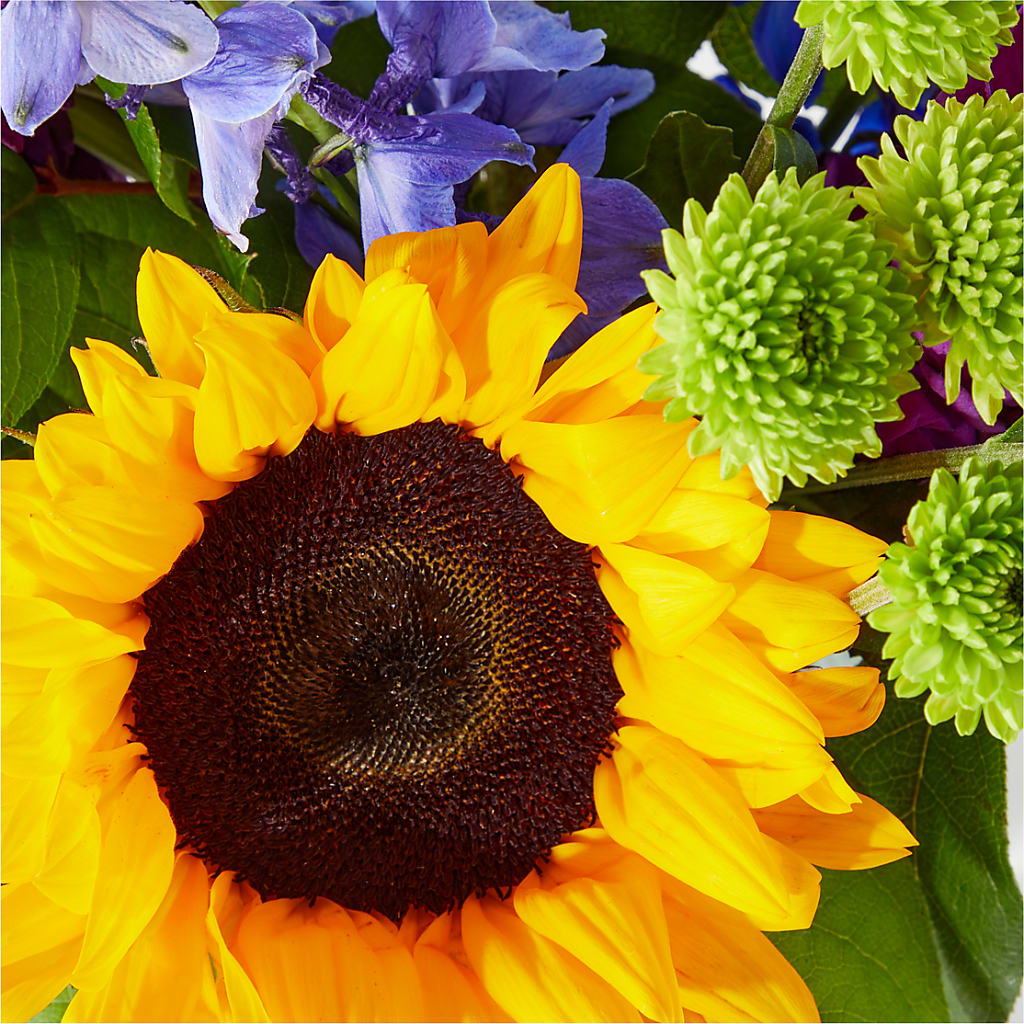 Catching Rays Bouquet –  Sweet Flowers, High Point NC