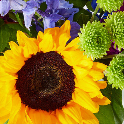 Catching Rays Bouquet –  Sweet Flowers, High Point NC