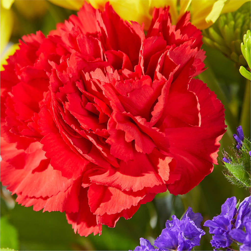 Brighter Days Bouquet –  Sweet Flowers, High Point NC