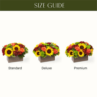 Happy Harvest Garden –  Sweet Flowers, High Point NC