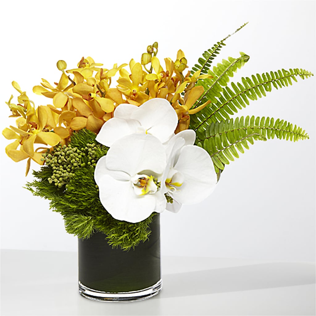 The Tropics –  Sweet Flowers, High Point NC