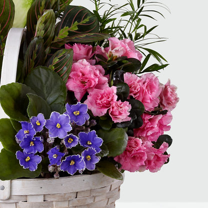 Peaceful Garden Planter –  Sweet Flowers, High Point NC