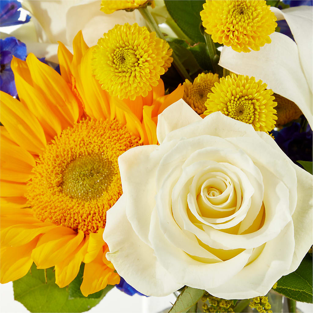 Stargazing Bouquet –  Sweet Flowers, High Point NC
