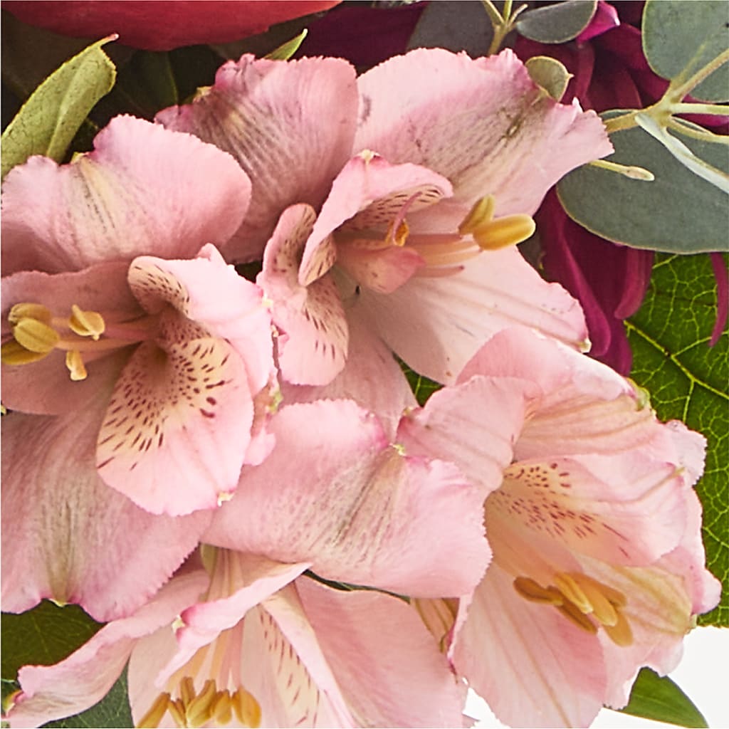 Berry Cobbler Bouquet –  Sweet Flowers, High Point NC