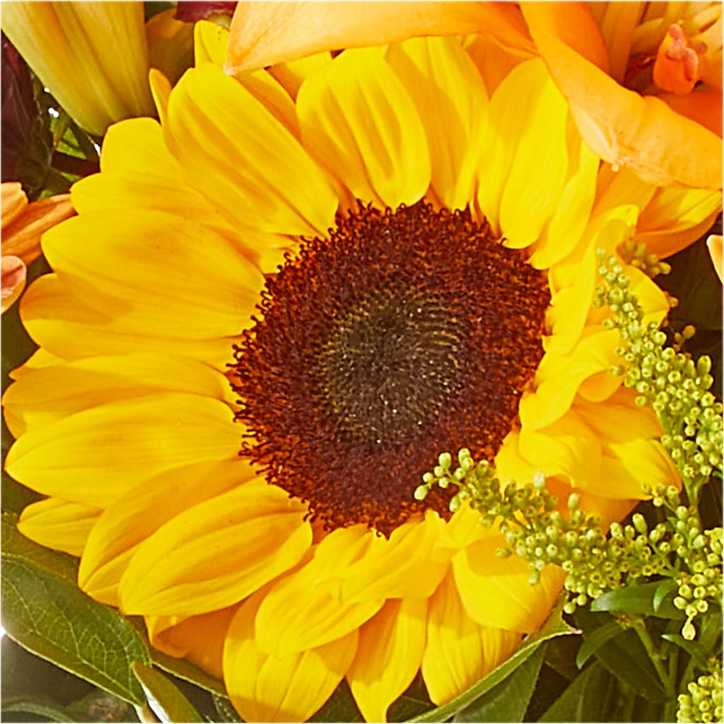 Seasons Change Bouquet –  Sweet Flowers, High Point NC