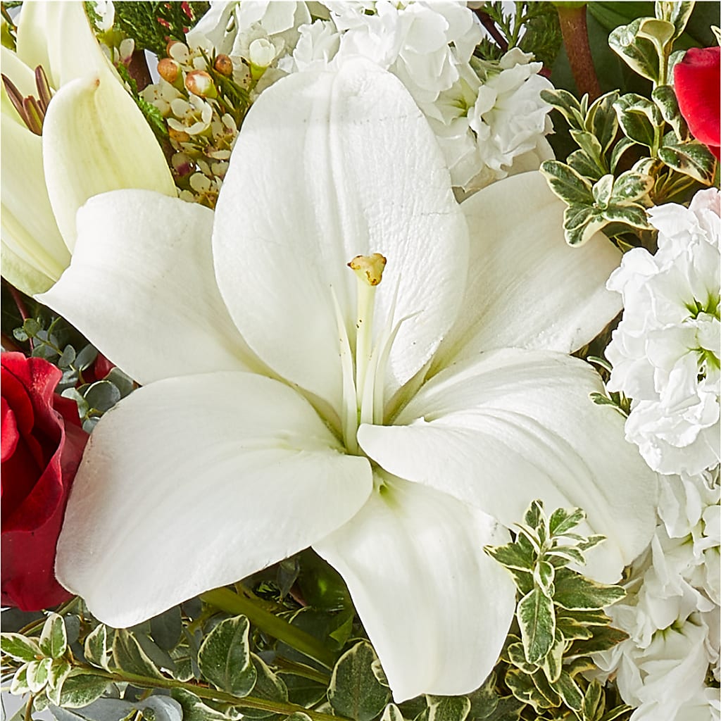Twinkle Lights Bouquet –  Sweet Flowers, High Point NC