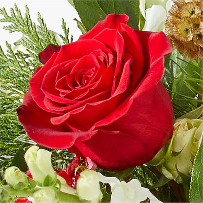 Deck the Halls Bouquet –  Sweet Flowers, High Point NC