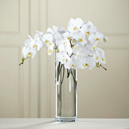 White Phalaenopsis Bouquet –  Sweet Flowers, High Point NC